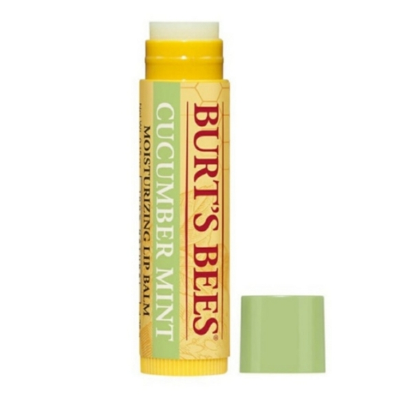 Burt’s Bee Cucumber Mint Moisturizing Lip Balm NEW Sealed - Picture 2 of 6